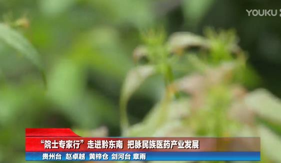 李洪軍所長“院士專家行”走進黔東南 把脈民族醫藥產業發展